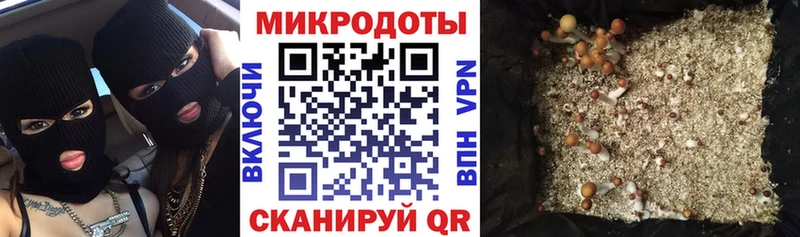 купить  цена  Эртиль  kraken рабочий сайт  Галлюциногенные грибы ЛСД 